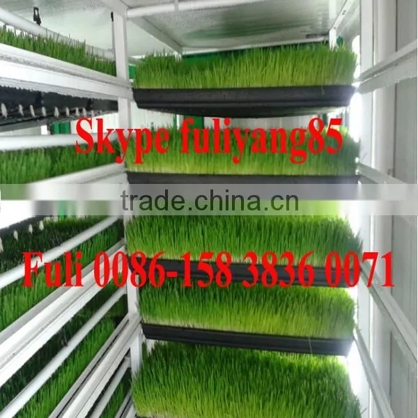 Hydroponic growing rooms specifically designed to sprout grain and legume seeds in trays
