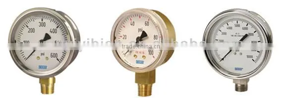 Diaphragm glycerine or silicone oil filled pressure gauge