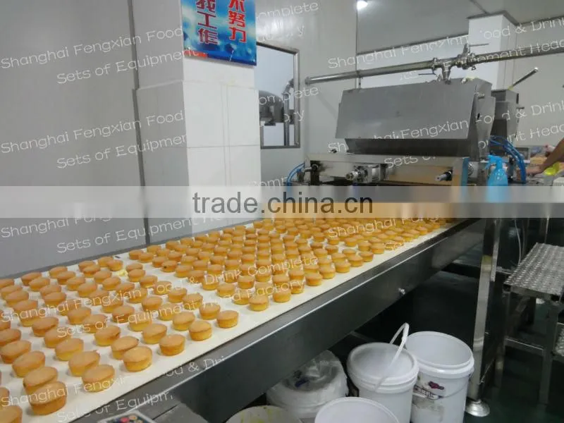 10T/D Full Automatic Custard Cake Machine