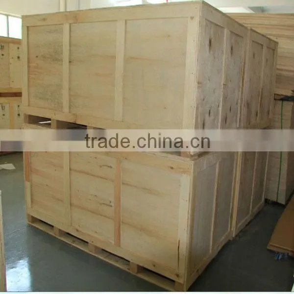 DD-3 Electric Tilting Bed with remote control
