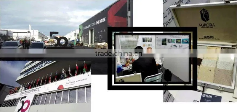 China Top Supplier High Quality Quartz Solid Surface/quartz Product/quartz Stone