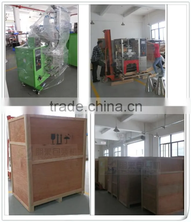 PL-420KB-4L Hot Sale Potato Chips Automatic Packing Machine