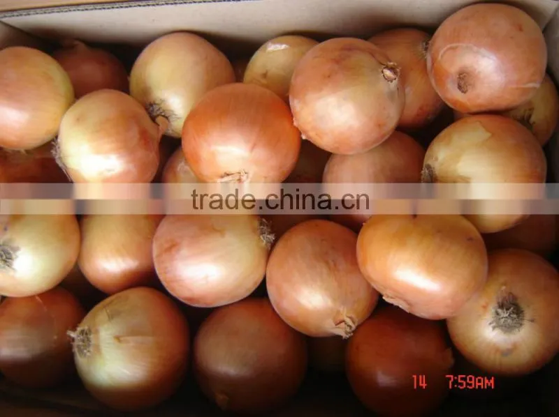 diced onion