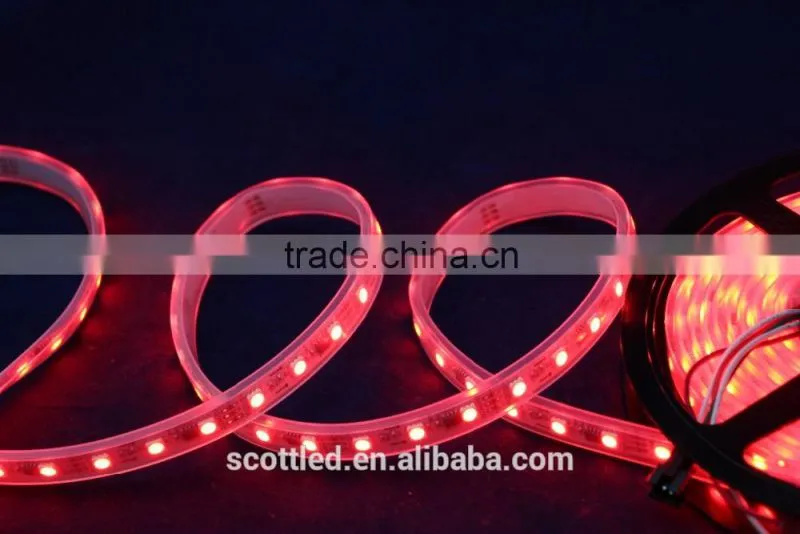 Waterproof IP67 Decoration DC12V SMD5050 60 Leds WS2811 Digital Led Tape/WS2811 Led Strip