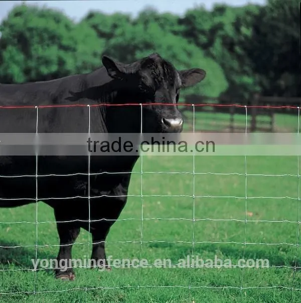 Galvanized and powder coating welded Euro fence for sale