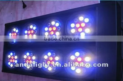2016 High quality led the lamp 8 eye 10w RGBW 4in1 LED Beam RGBW light