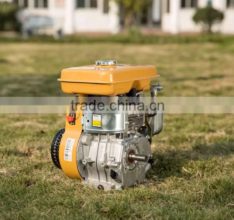 Factory Direct Sale High Quality Same As Robin EY20 5.5HP Gasoline Engine