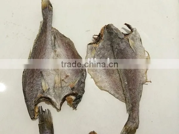 new wholesale dried brown croaker fish