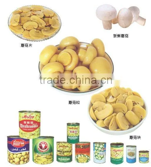 New Season Canned Whole Mushroom