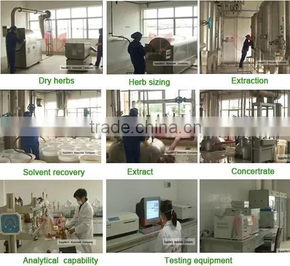 Supply 100% natural grape seed extract from china