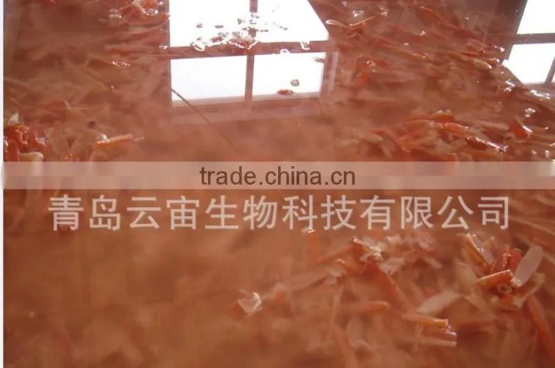Hot Sale Chitosan fiber