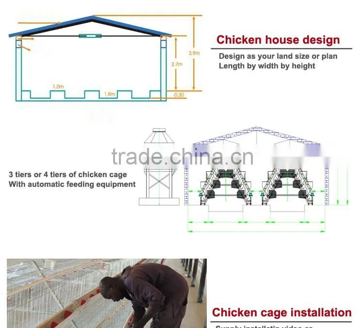 CHINA sales promotion 80 dollars this month chicken coop supplies