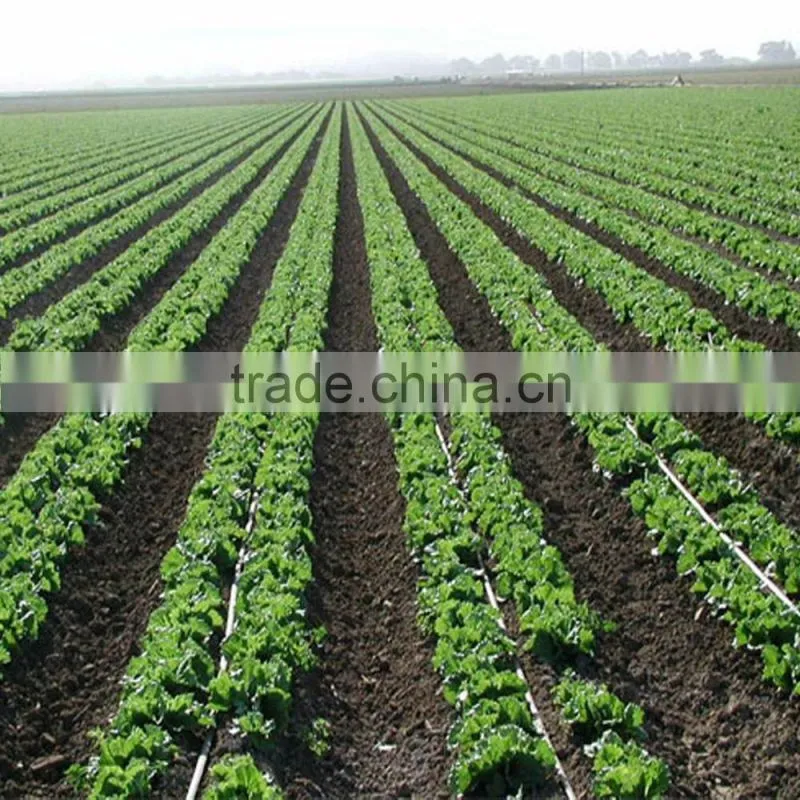 Dripper Irrigation with Complete Service