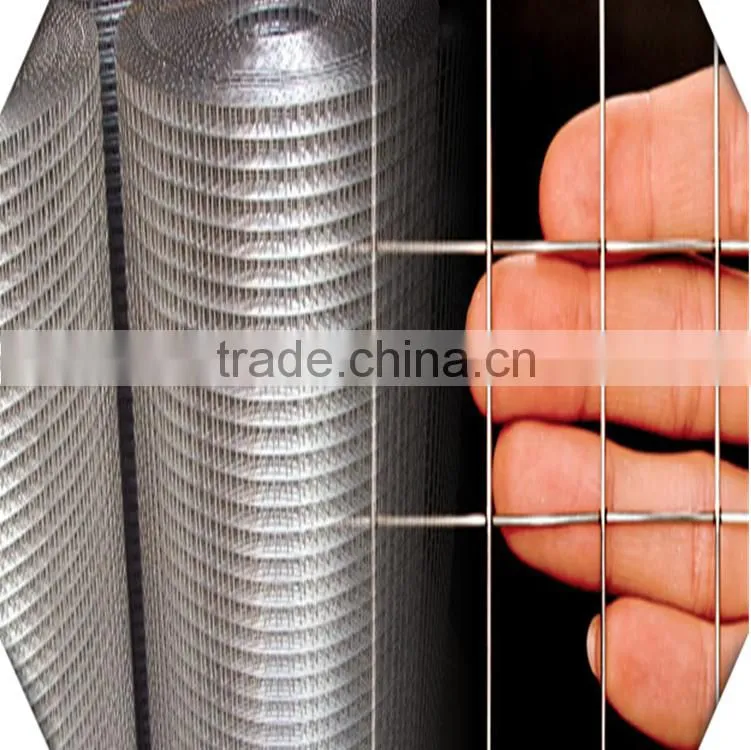 steel bar welded wire mesh/construction reinforcement welded wire mesh