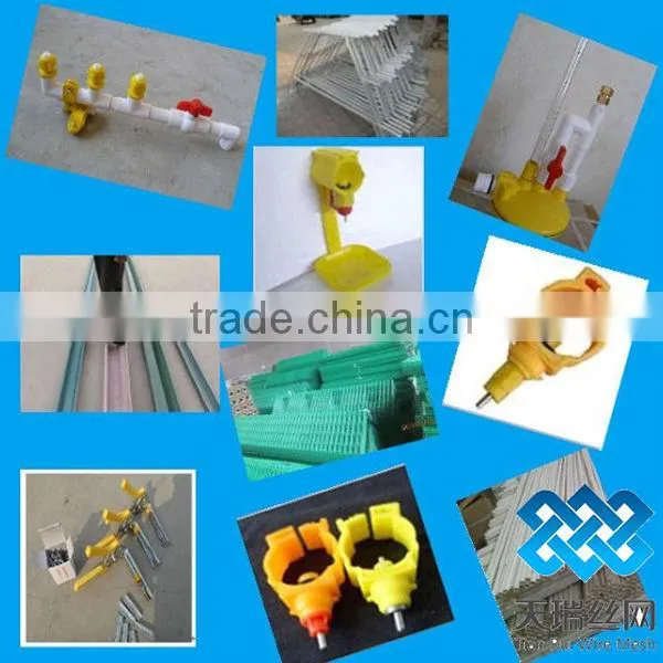 Layer chicken cage (factory)