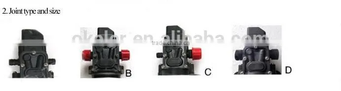 DC 12V/24V Reflux Valve or Auto High Pressure Switch Mini Garden Water Pump
