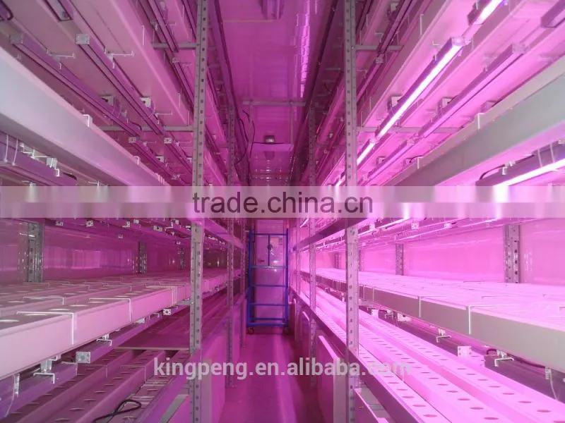 Manufacturing plant