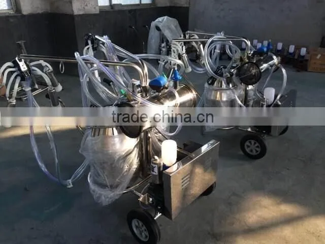 piston double bucket milk machine