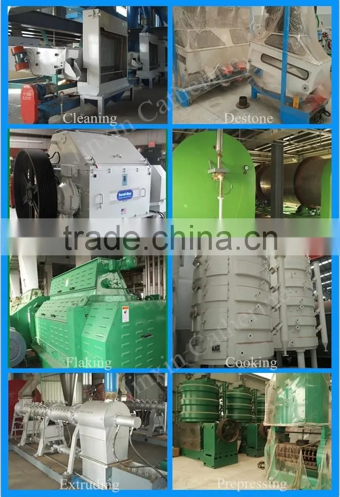 Factory price sunflower oil making machine/sunflower oil press machine