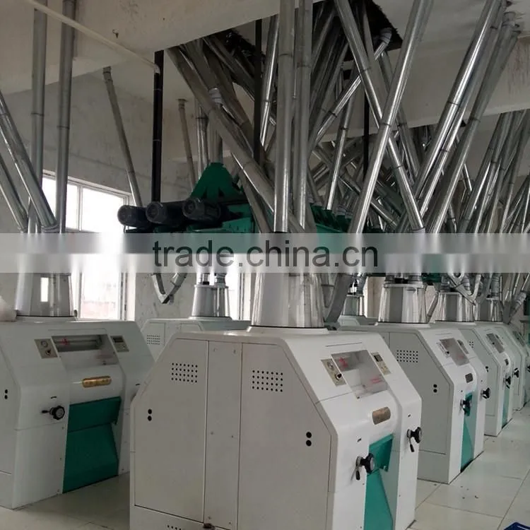 Whole set 250 TPD wheat flour mill for sale