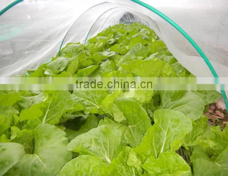 100% New HDPE agricultural anti insect net/anti-insect net with top quality and competitive price