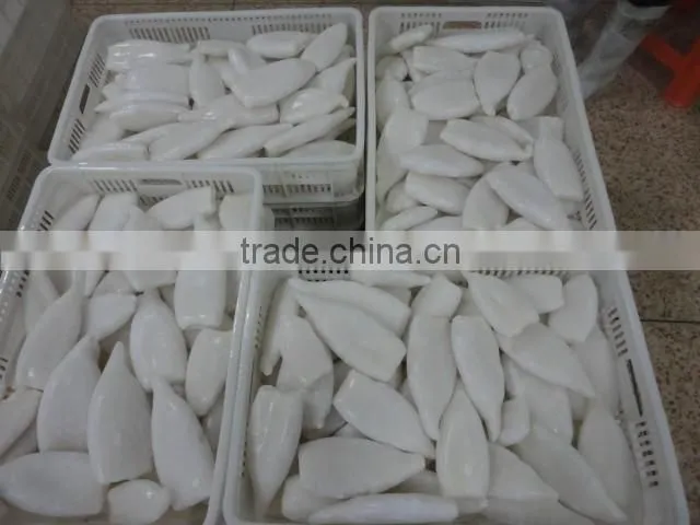 IQF frozen squid tube U10