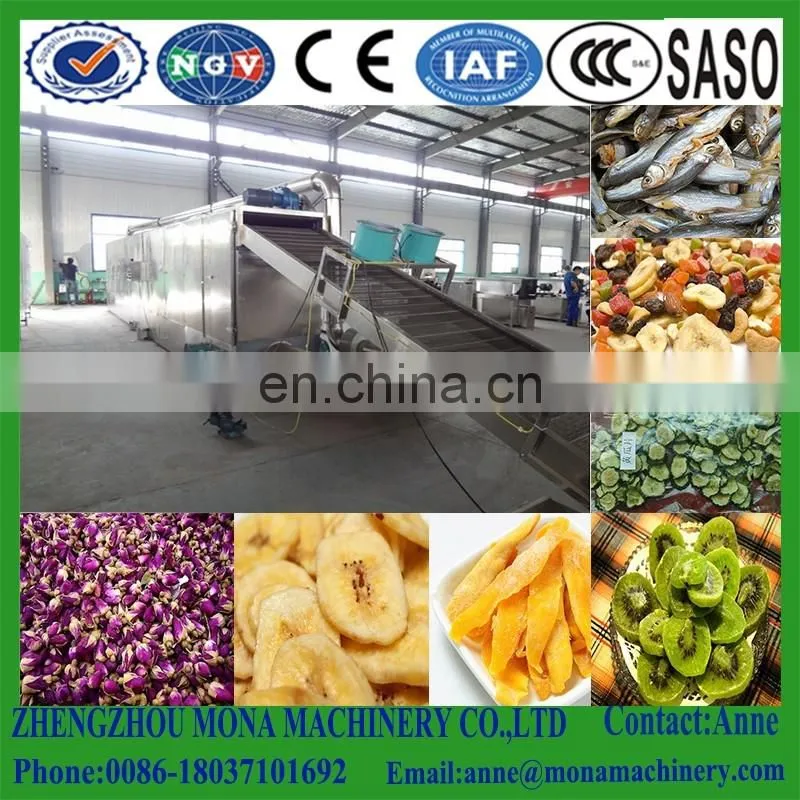 vegetables,fruits,apples,pineapple, pawpaw ,coconut,mango,banana,spice,sea cucumber,seaweeds,beef mesh belt drying machine
