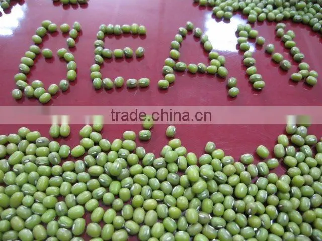 Organic Mung Bean