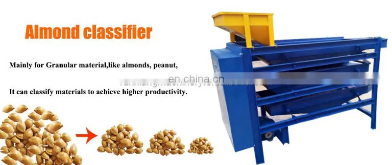 Almond hazelnut shell cracking machine shelling production line 500kg