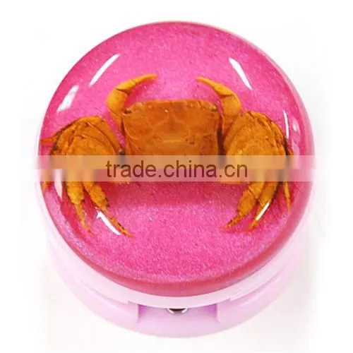Souvenir gifts starfish resin paper stapler corporate gift