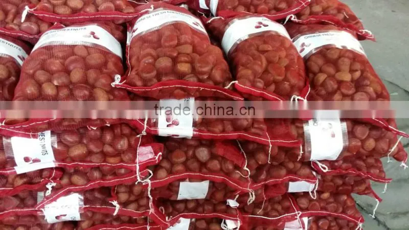 2015 crop Chinese fresh chestnut best quality for export