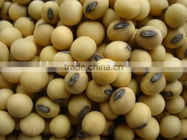 small weigher packing coffee beans