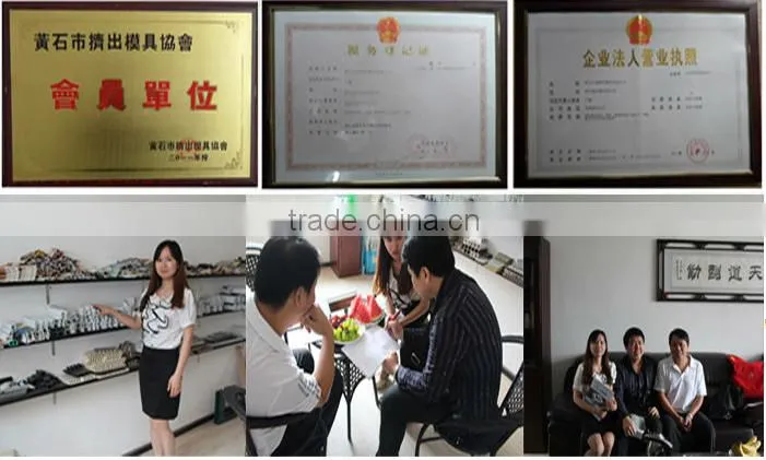 Factory Outlets Customized Co-extrusion Mould