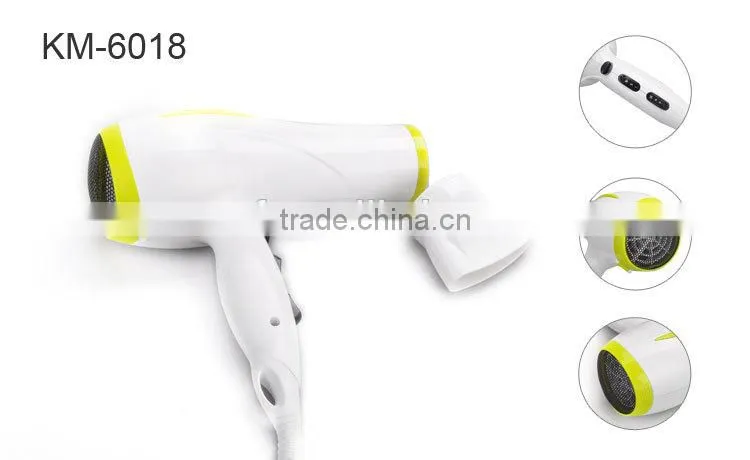 Large Household Ionic Hair Dryer
