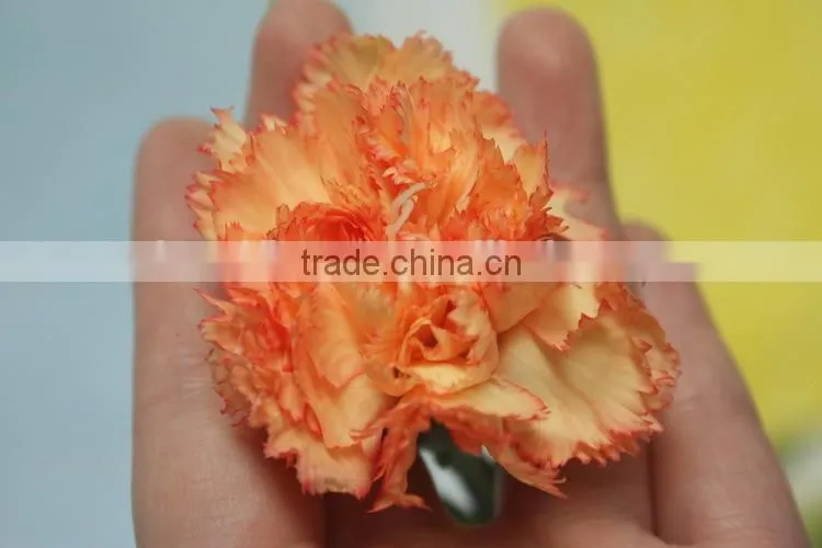 Fresh flowers carnation/fresh cut flowers carnations/carnat flower arrang