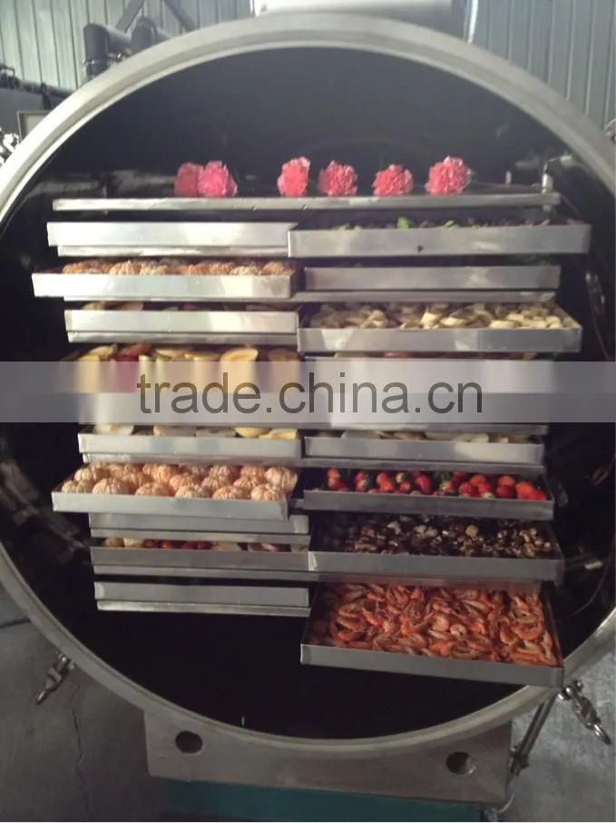Vacuum Freeze Dryer