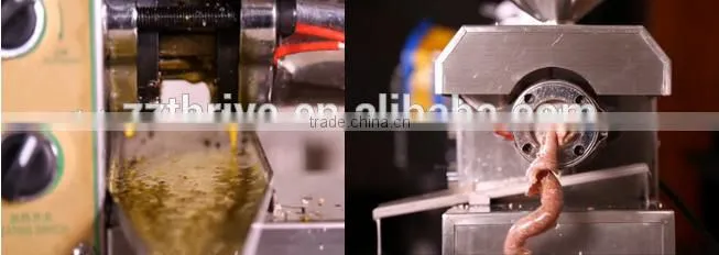 Fully automatic cocoa seeds oil extraction machine,oil extracting equipment price for sale
