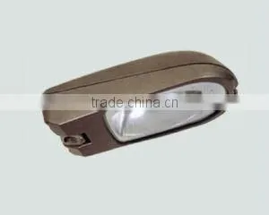 Powder coated surface street light