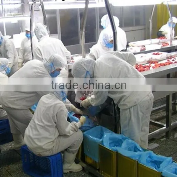 PE bag packing IQF frozen strawberry from Liaoning