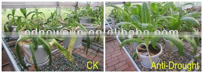 Anti-Drought Microelement fertilizer for improving drought resistance in crops