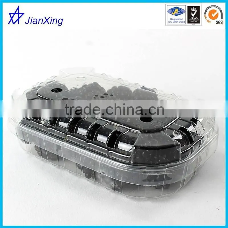custom Blister plastic Transparent Sushi tray with lid