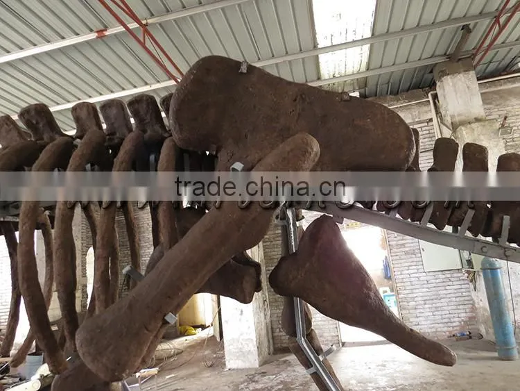HLT artifical fiberglass dinosaur fossil for the science museum