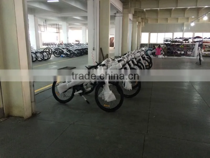 Seagull - Hot sell seagull electrical bike in the world , crazy popular in the Mexico