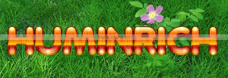 FAQ 15--How To Control Lawn Disease?