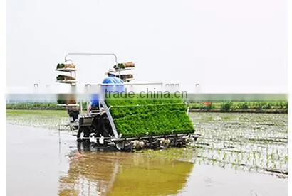 New Designed High Quality ISEKI Automatic Rice Transplanter