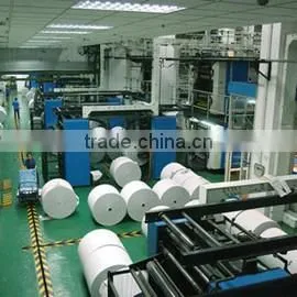 Anqing Siyuan Paper-Plastic Co., Ltd. company overview - view 1