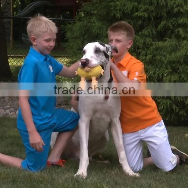 Vibrative and funny plusy pet toy