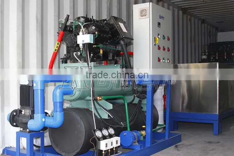 Containerized ice block machine with cold room