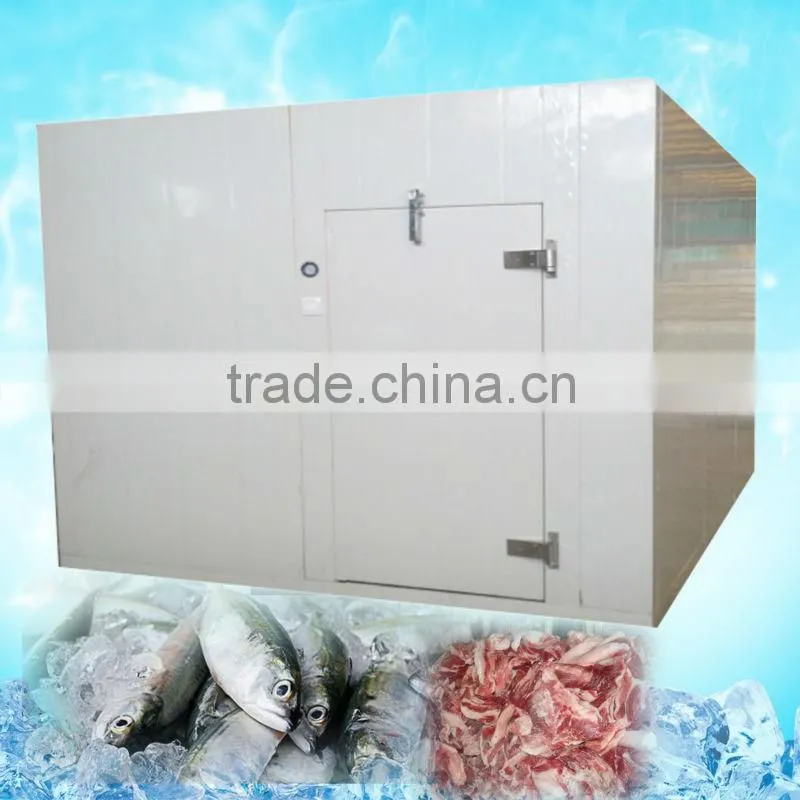 cold storage for meat and fish storage