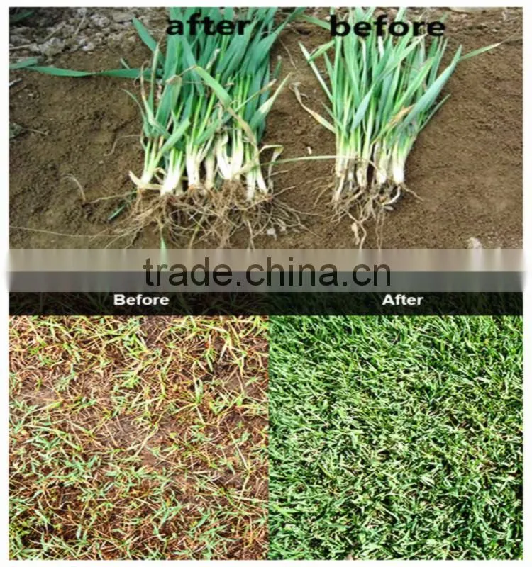 High Quality Organic Sodium Humate Powder for Animal Feed Additive